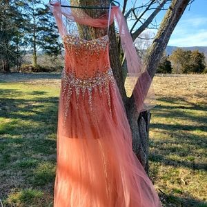 Cinderella Formal Gown